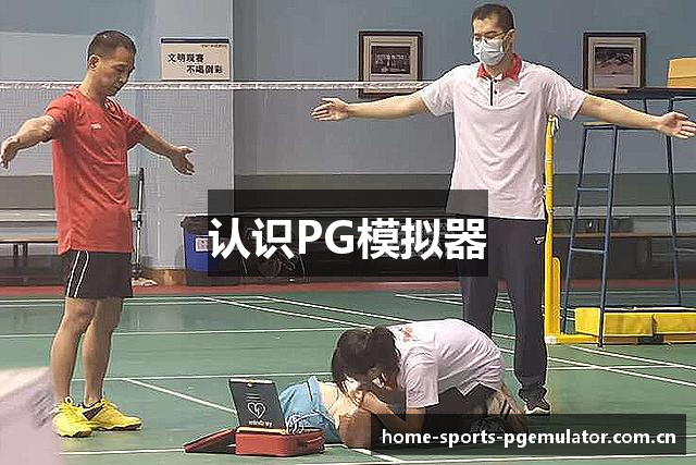 认识PG模拟器